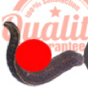 Leech
