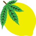 Lemonapparel