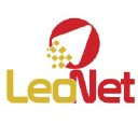 leonetcomunicaciones.com