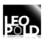 Leopold Group logo