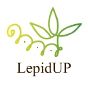 lepidup.com