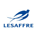 lesaffre.it