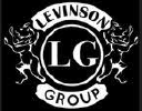 levinsongroup.com