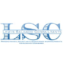 lewissalgadoconsultantsllc.com