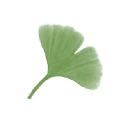 lexham Avatar