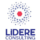 lidereconsulting.com