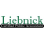 Liebnick logo
