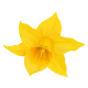 COMMUNE DE LIEUTADES
