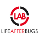 lifeafterbugs.com