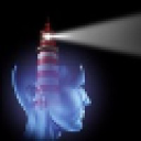 lighthousesoftwarestrategies.com