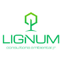 lignumambientaljr.com.br