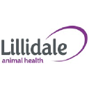 lillidale.co.uk