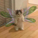 MM  Avatar