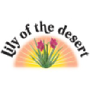 Lily Of The Desert
