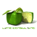 lime-consulting.com