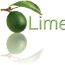 limetreeconsulting.com
