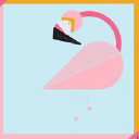 Lingo Flamingo in Elioplus