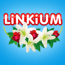 linkium.com