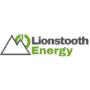 lionstoothenergy.com