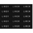 Company logo for lirer.com