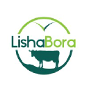 lishabora.com