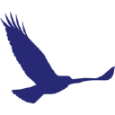 Little Bird Pediatric Dentistry logo