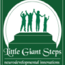 Little Giant Steps
