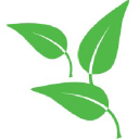 little leaves behavioral services