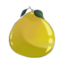 Little Pomelo