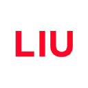 liuconsulting.co