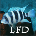 Livefishdirect