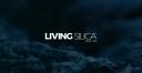 livingsilica.com