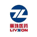 livzonhc.com.cn