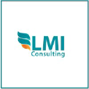 lmi-consulting.co.za