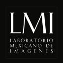 lmi.com.mx