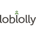 Loblolly Consulting LLC