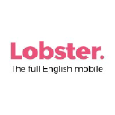 lobster