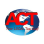 Act Professional Services logo