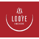 looye.com