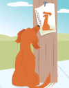 Read LostMyKitty.com Reviews