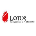 lotus-surgicals.com