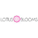 Lotus Blooms