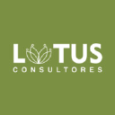 lotusconsultores.com