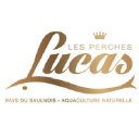 LUCAS PERCHES