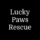 Lucky Paws Rescue Treat Boutique