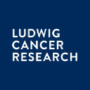 ludwigcancerresearch.org