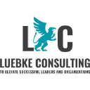 luebke-consulting.com