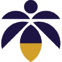 Logo Lume. Cannabis Co.