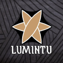 lumintulogic.com