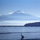 You Are Claiming Lummi Island Vacations